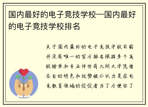 国内最好的电子竞技学校—国内最好的电子竞技学校排名